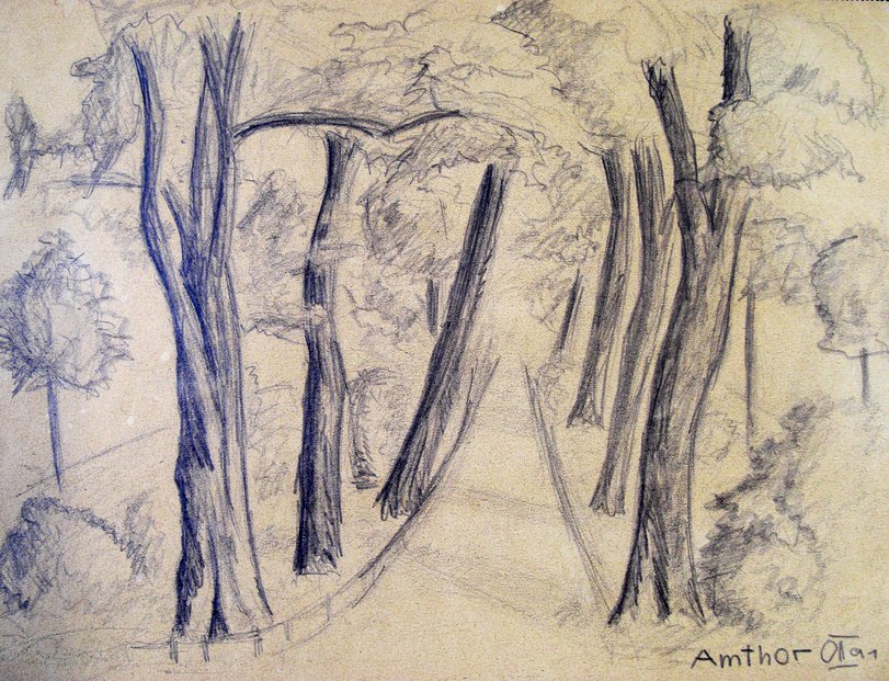 Archiv-Bild „Skizze Waldweg“