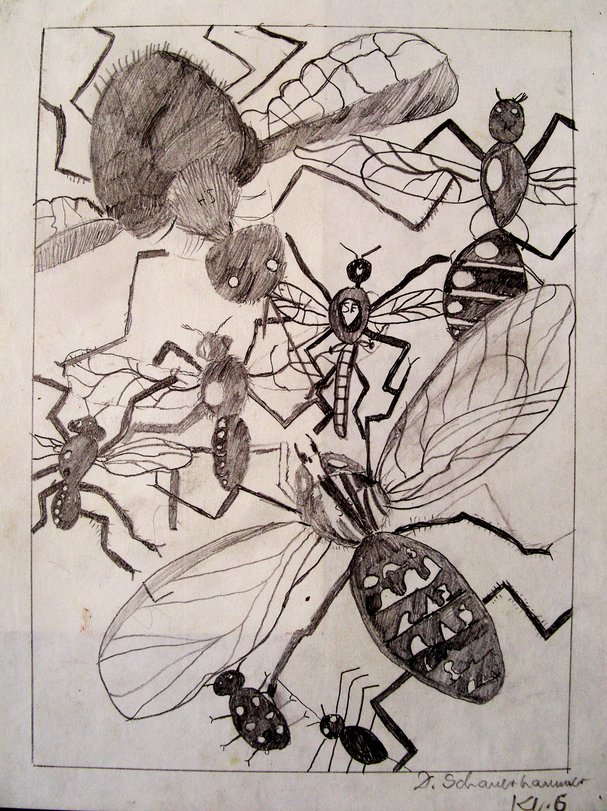 Archiv-Bild „Insekten“