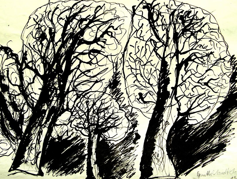 Archiv-Bild „Bäume“