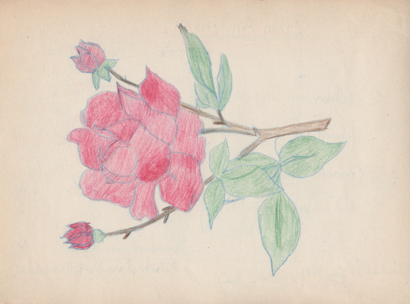 Archiv-Bild „Eintrag in ein Poesiealbum“