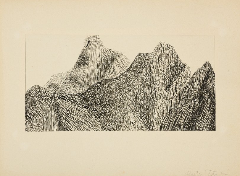 Archiv-Bild „Studie mit Holz und Knochenstrukturen - Flächenstrukturen“