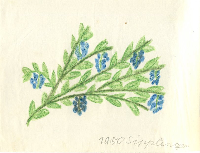 Archiv-Bild „1950, Ohne Titel“