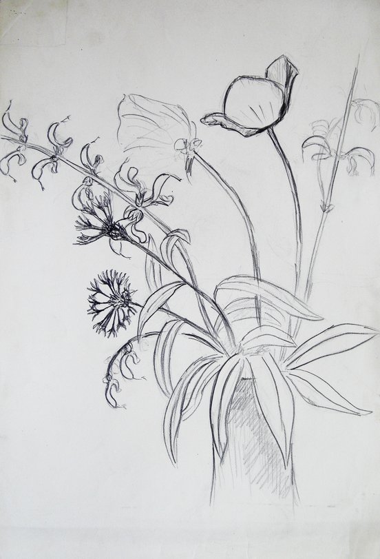 Archiv-Bild „Wiesenstrauß“