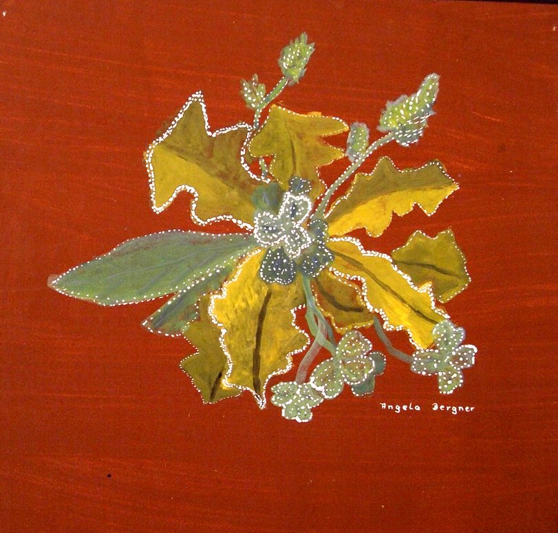 Archiv-Bild „Pflanzen im Raureif“