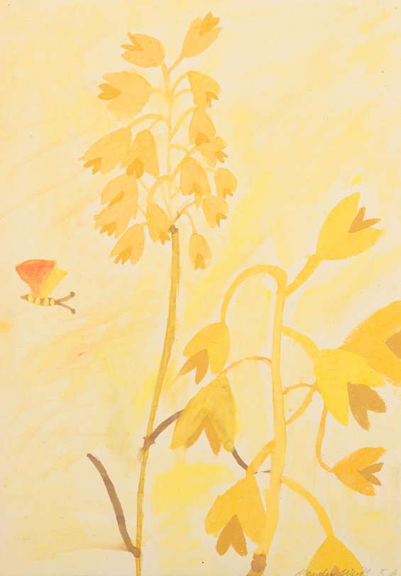 Archiv-Bild „Getreideähren“