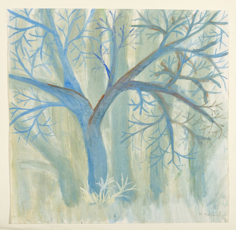 Archiv-Bild „Baumstudie“