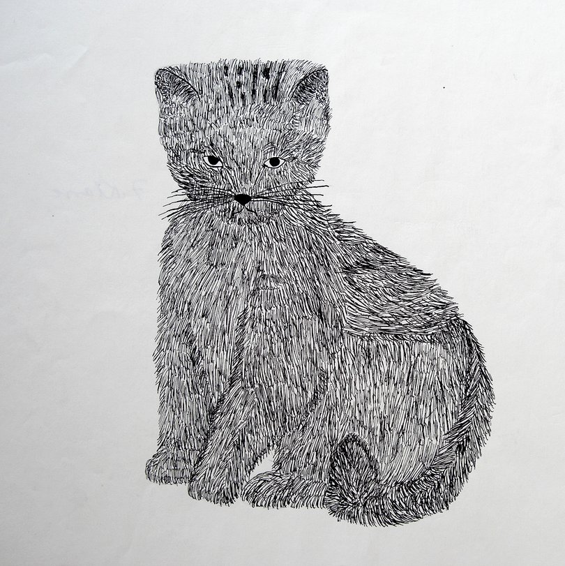 Archiv-Bild „Katze“