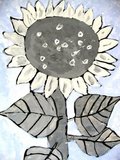 Archiv-Bild „Sonnenblume“