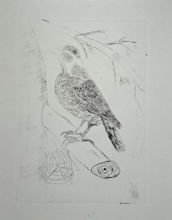 Archiv-Bild „Vögel“