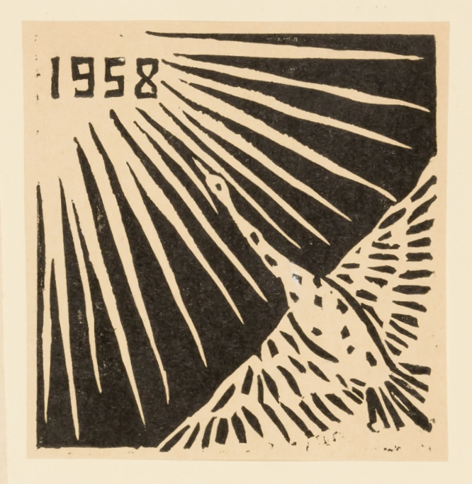 Archiv-Bild „Vogel“