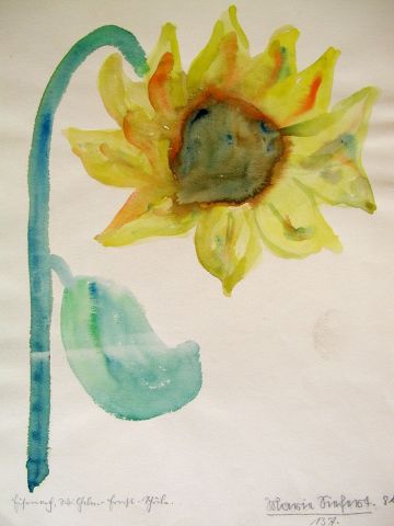 Archiv-Bild „Sonnenblume“