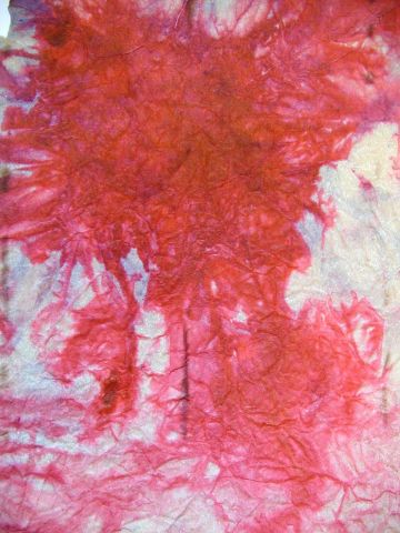 Archiv-Bild „Baum“