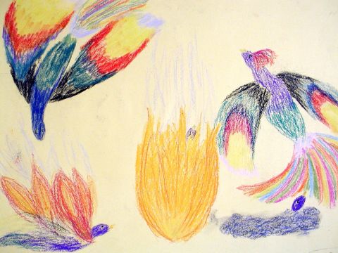 Archiv-Bild „Paradiesvögel“