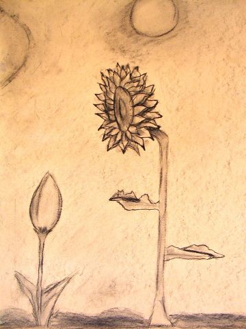 Archiv-Bild „Blume im Wandel der Zeit“