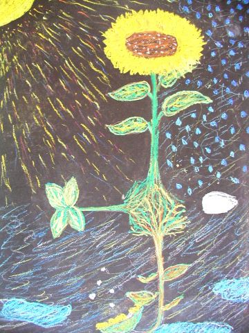 Archiv-Bild „Die Entwicklung der Sonnenblume“