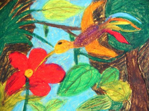 Archiv-Bild „Kolibri als kleines Keckevögelchen“