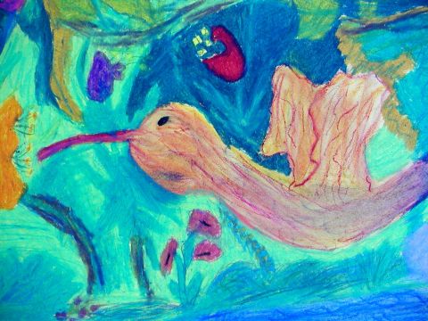 Archiv-Bild „Kolibri“