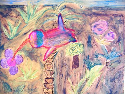 Archiv-Bild „Der größte Kolibri“