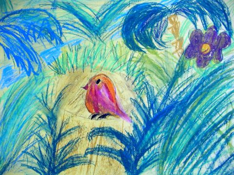 Archiv-Bild „Kolibri“