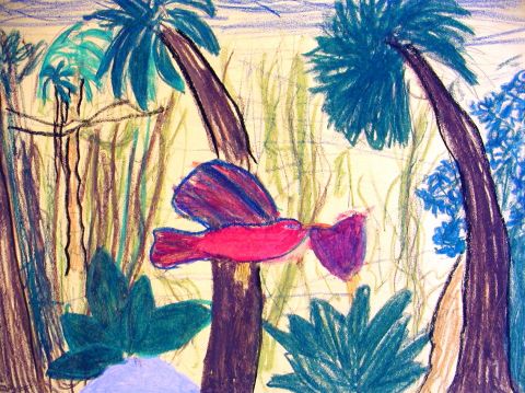 Archiv-Bild „Kolibri“