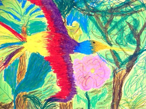 Archiv-Bild „Kolibri“