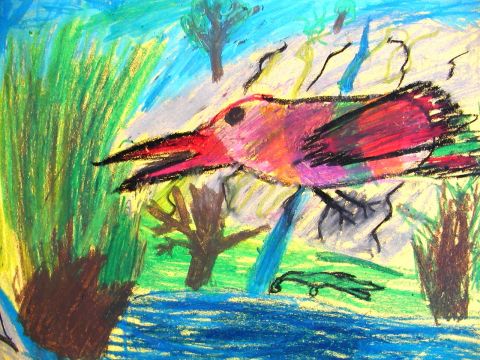 Archiv-Bild „Kolibri im Urwald“