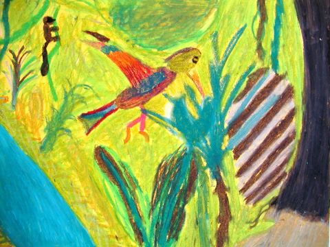 Archiv-Bild „Kolibri“