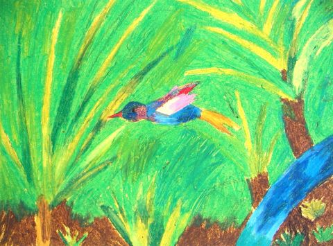 Archiv-Bild „Der Kolibri“