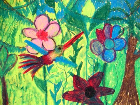 Archiv-Bild „Kolibri“