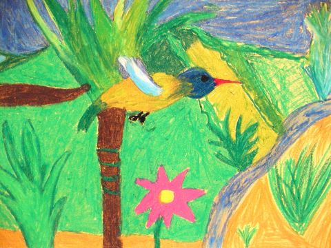 Archiv-Bild „Kolibri“