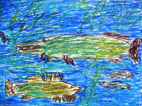 Archiv-Bild „Fische“