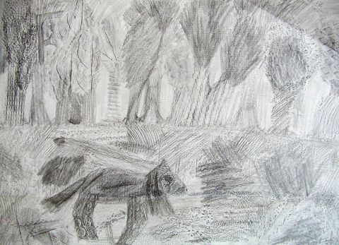 Archiv-Bild „Hundewiese“