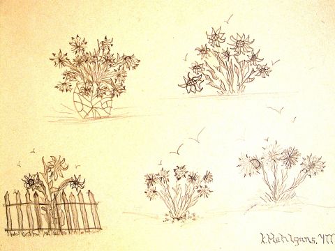 Archiv-Bild „Verschiedene Blumen“