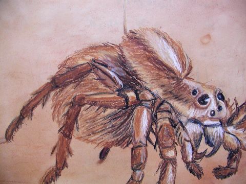 Archiv-Bild „Untamed“