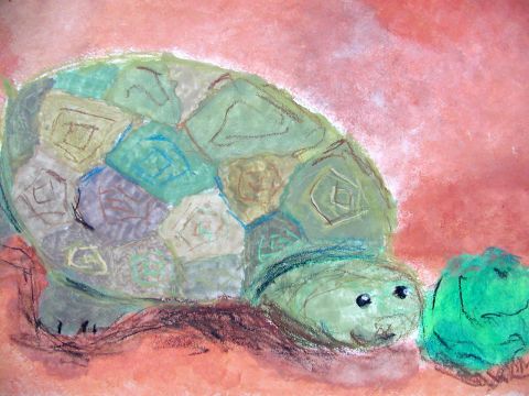 Archiv-Bild „Mein bester Freund - die Schildkröte“