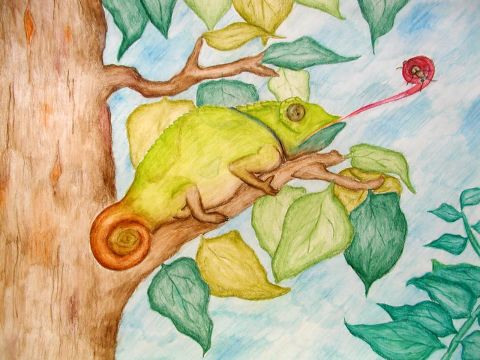 Archiv-Bild „Verwandlungskünstler - das Chamäleon“