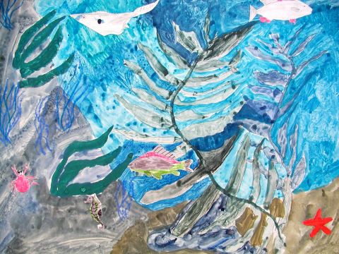 Archiv-Bild „Was unter Wasser so passiert“