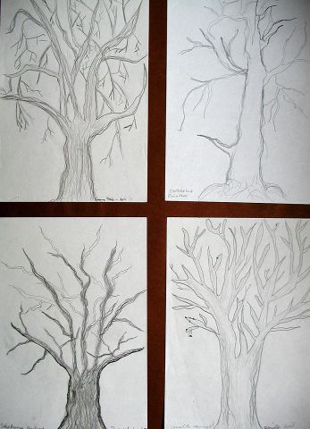 Archiv-Bild „Bäume“