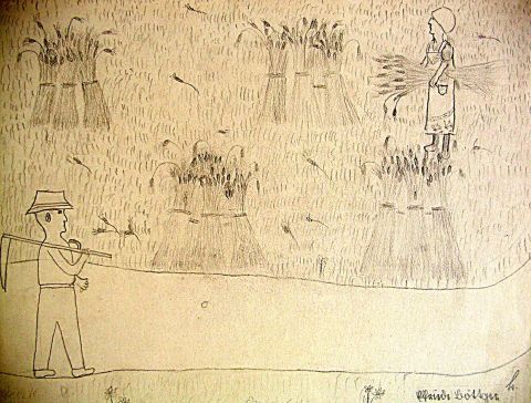 Archiv-Bild „Getreideernte“