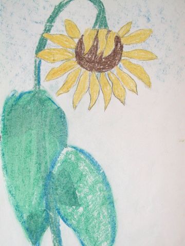Archiv-Bild „Sonnenblume“