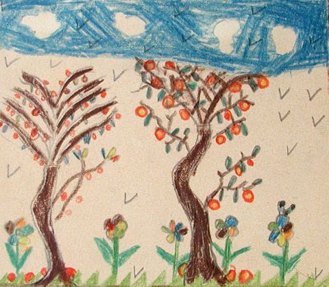 Archiv-Bild „Apfelbäume“