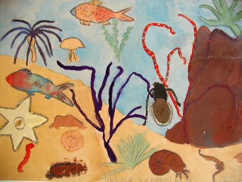 Archiv-Bild „Leben auf dem Meeresgrund“