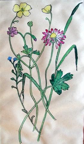 Archiv-Bild „Wiesenblumen“