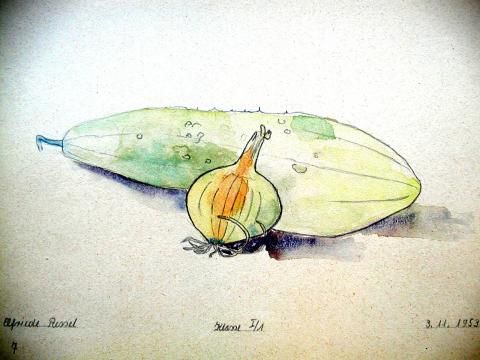 Archiv-Bild „Gurke und Zwiebel“