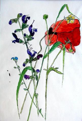 Archiv-Bild „Wiesenblumen“