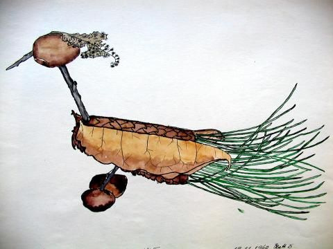 Archiv-Bild „Vogel aus Naturmaterial“