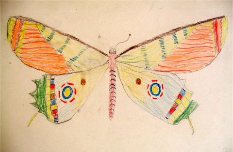 Archiv-Bild „Schmetterling“