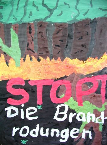 Archiv-Bild „Stoppt die Brandrodungen“