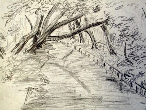 Archiv-Bild „Fluss unter Bäumen“