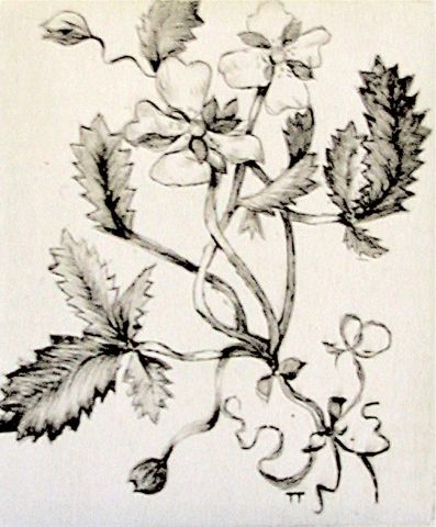 Archiv-Bild „Blume“